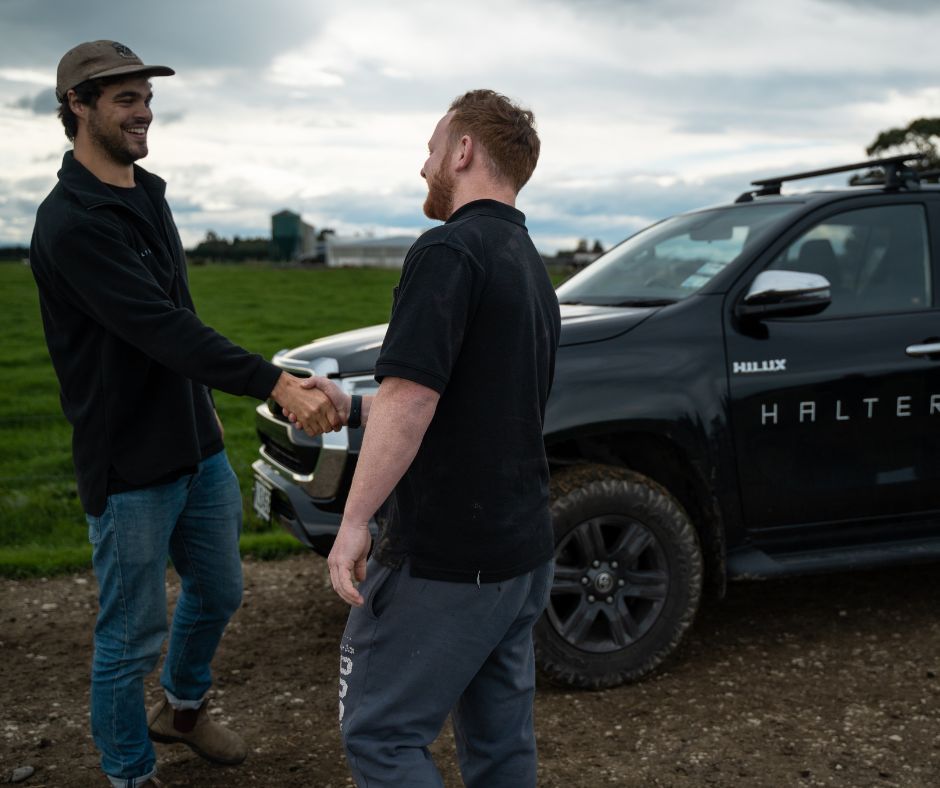 Halter content 1.jpg